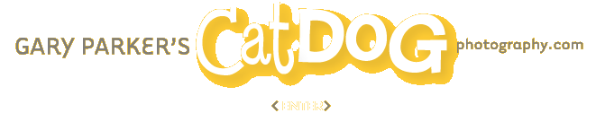 Gary Parker's Cat Dog Photography