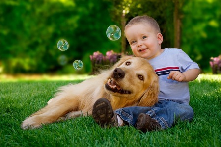 15 month old with his Golden Retriever 