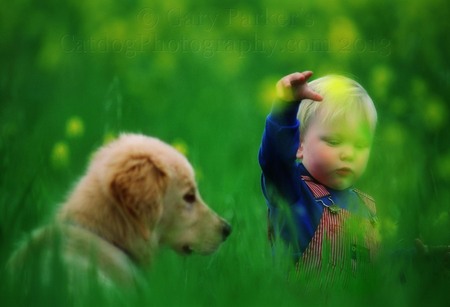 CHILD WITH GOLDEN RETRIEVER PUP...