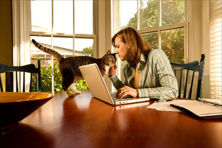 WORKING FROM HOME, FOR AFB INTERNATIONAL