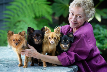 CAROL WITH HER RARE RUSSIAN TOY TERRIERS, HER BABIES...  