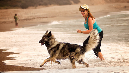 FUN IN THE SURF WITH PRUDENCE, THE PHOTOGRAPHER'S AMERICAN ALSATIAN...
