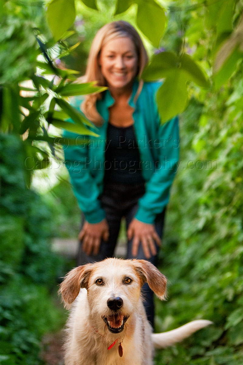 AIREDALE MIX FOR VETERINARY PET INSURANCE, AKA VPI