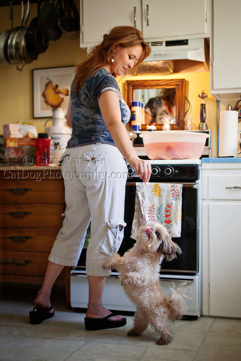 IZZY, A SHIH TZU BALLERINA , BEGS A SNACK DURING A GRAB SHOT PHOTO SESSION