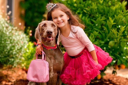 The Princess and her Weimaraner