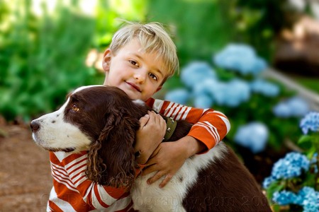 Pic to be used on boy's shoebox so PINK hydrangeas in the background were colorized to BLUE...