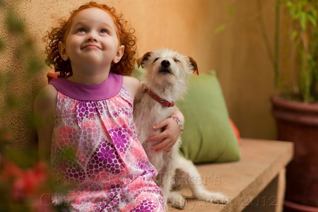 Buster Brown ad and collateral with Jack Russell Terrier