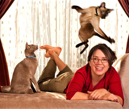 ORIENTAL SHORTHAIR AND SIAMESE TOOK TURNS LEAPING OVER REBECCA, THEIR HUMAN, DURING THIS LOCAL CAT SHOOT