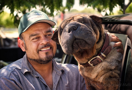 ONE OF THE OLDEST SHAR PEI'S ON RECORD...