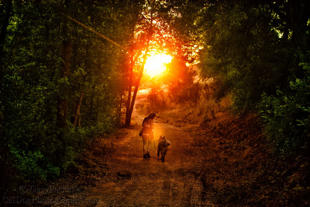 SUNSET HIKE ON THE MOUNTAIN...