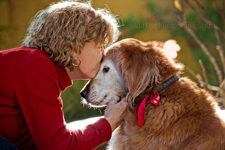 KAREN KISSES CHEWY, HER AGING GOLDEN RETRIEVER...