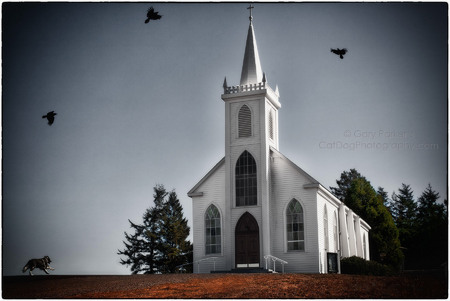 ALFRED HITCHCOCK'S CLASIC FILM "THE BIRDS" WAS MADE HERE IN BODEGA, CA...