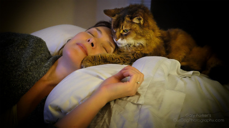 MAX, A PUREBRED SOMALI, 88 IN HUMAN YEARS, GENTLY TOUCHES HIS NAPPING MOTHER...