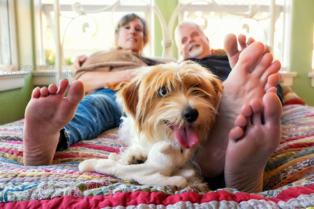 CALLIE, A DACHSHUND/AUSTRALIAN SHEPHERD MIX, AFTER HER BATH WITH HER BAREFOOT HUMANS...